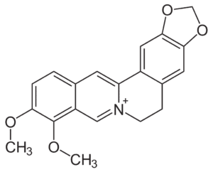 Berberine