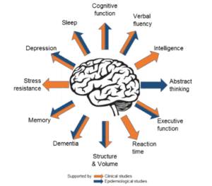 DHA Supplement Benefits