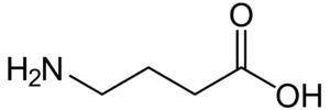 Gamma Aminobutyric Acid Molecular Structure