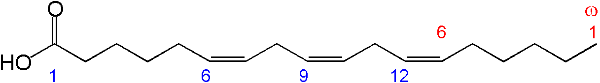 Gamma Linolenic Acid (GLA)