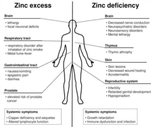 Zinc Deficiency & Excess