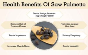 The Health Benefits of Saw Palmetto