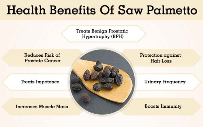 The Health Benefits of Saw Palmetto