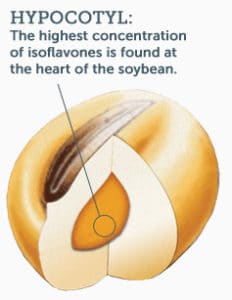 Isoflavone Concentration in Soy