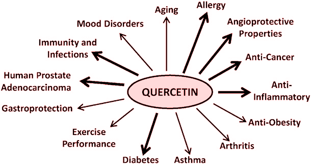Quercetin Benefits