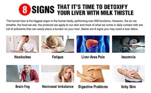 Silymarin Detoxifies the Body