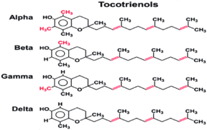 tocotrienols vitamin e