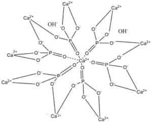 Calcium Hydroxyapatite